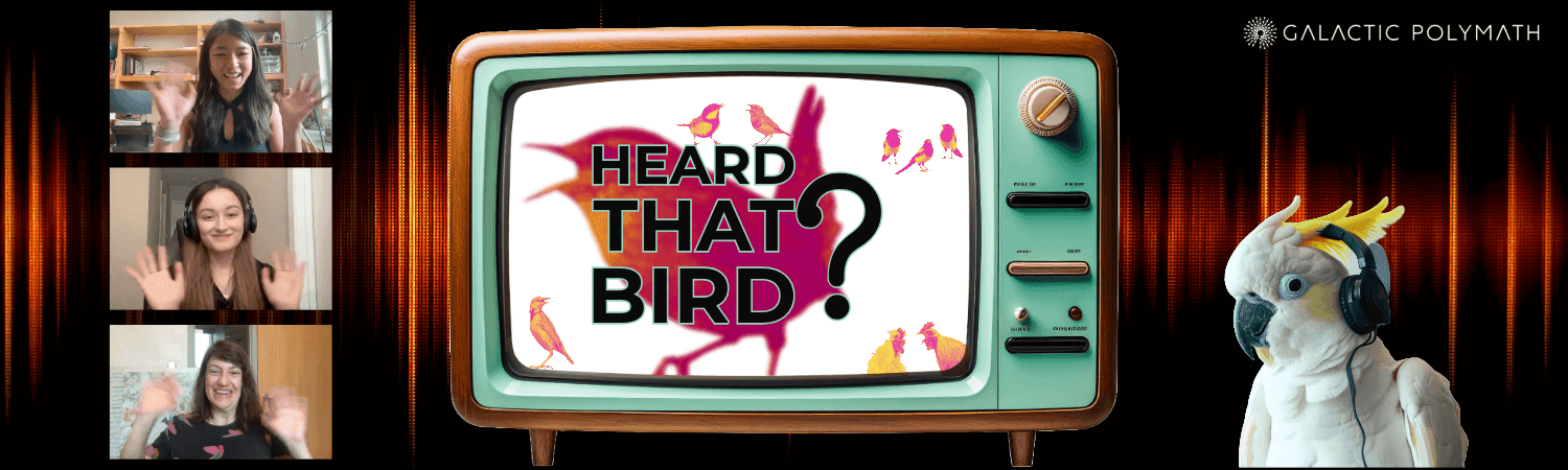 A Pop Culture Intro to Birding by Ear